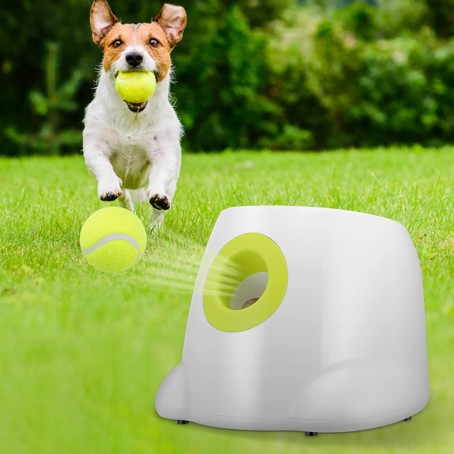 Automatic Ball Launcher Toy