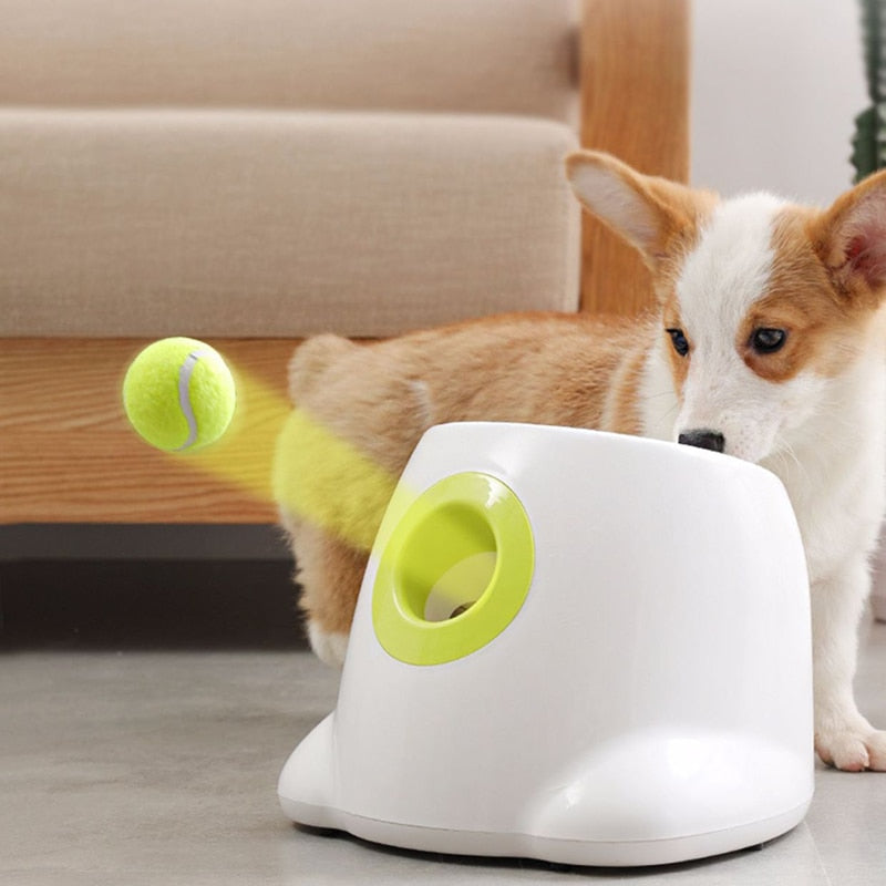 Automatic Ball Launcher Toy