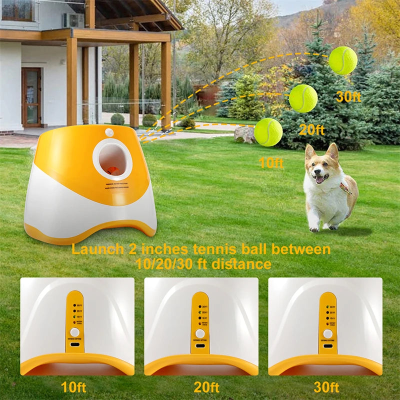 Automatic Ball Launcher Toy