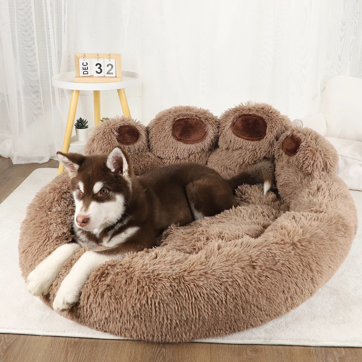 Pet Small Sofa Bed