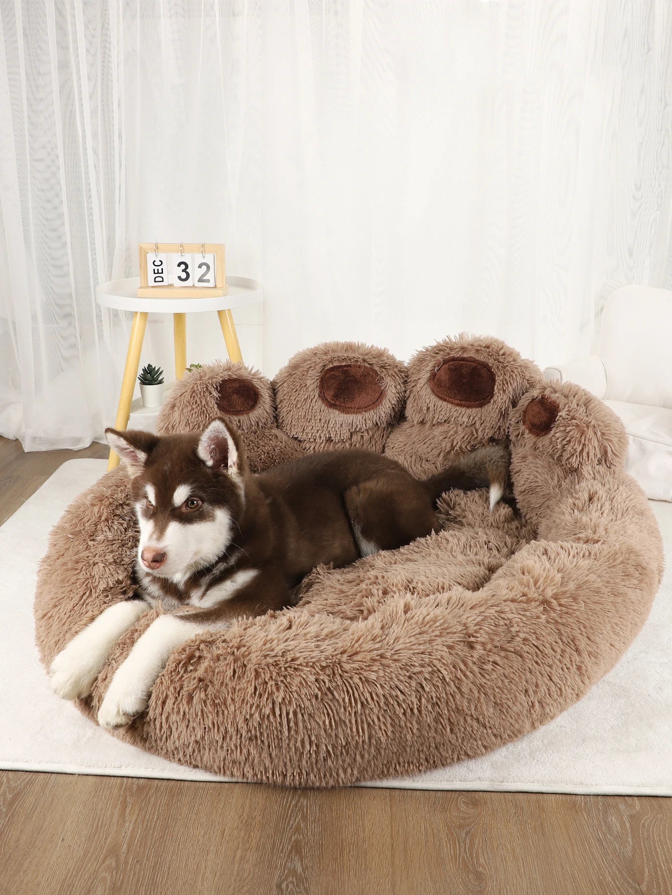 Pet Small Sofa Bed