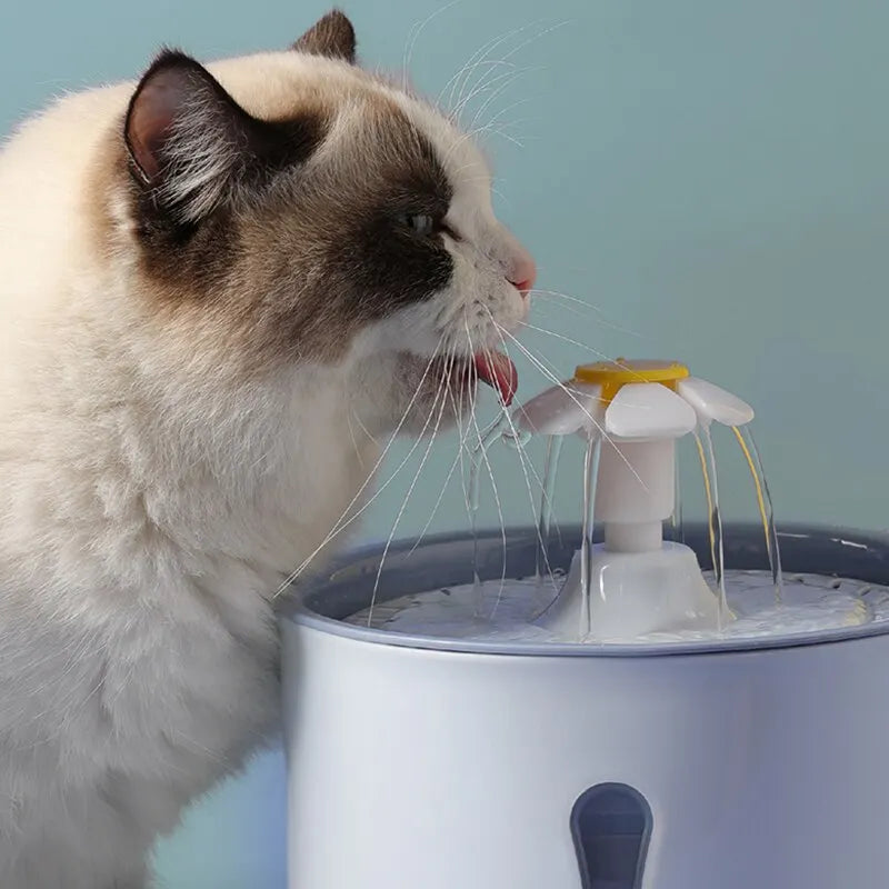 2.4L Pet Drinking Water Dispense